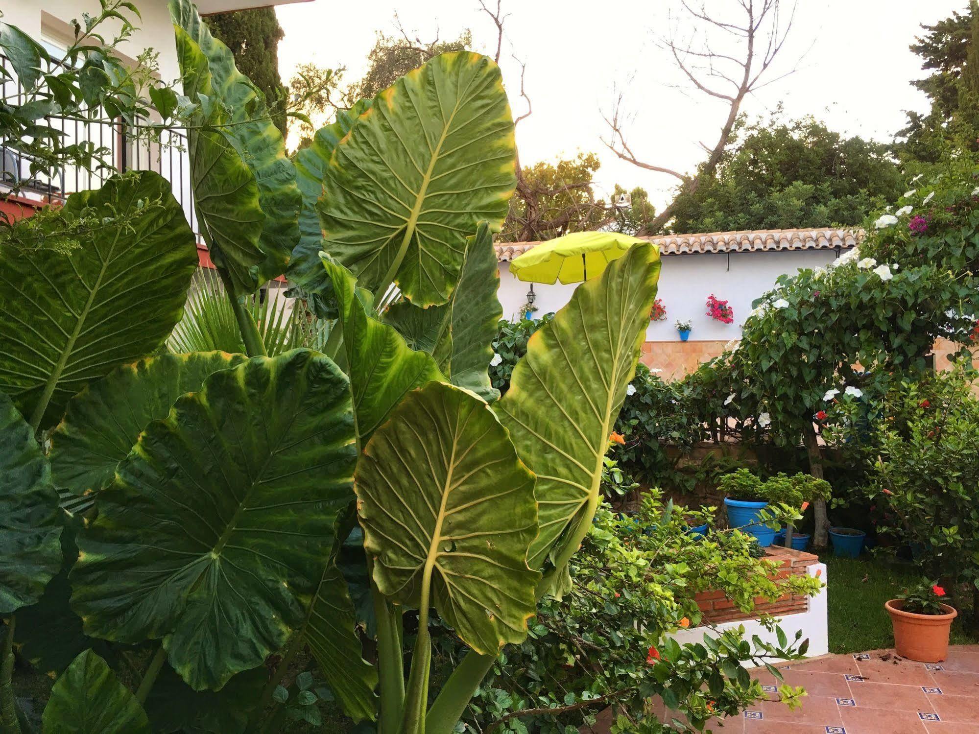 Carmen Teresa Torremolinos