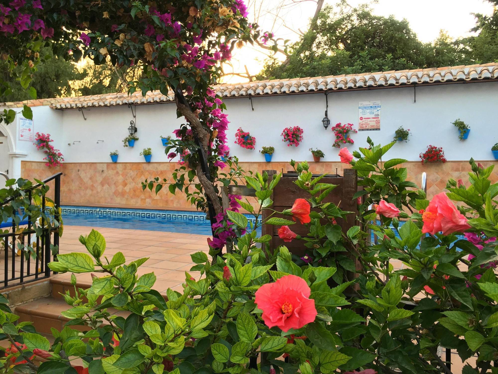 Carmen Teresa Hotel